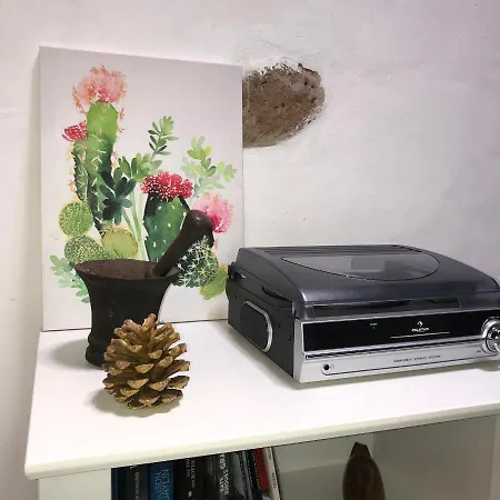 Casa Dona Carmen Tatil Evi Betancuría